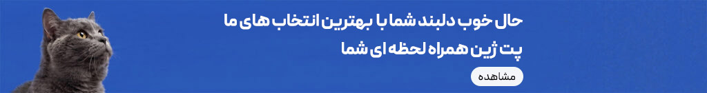 cat-banner-2