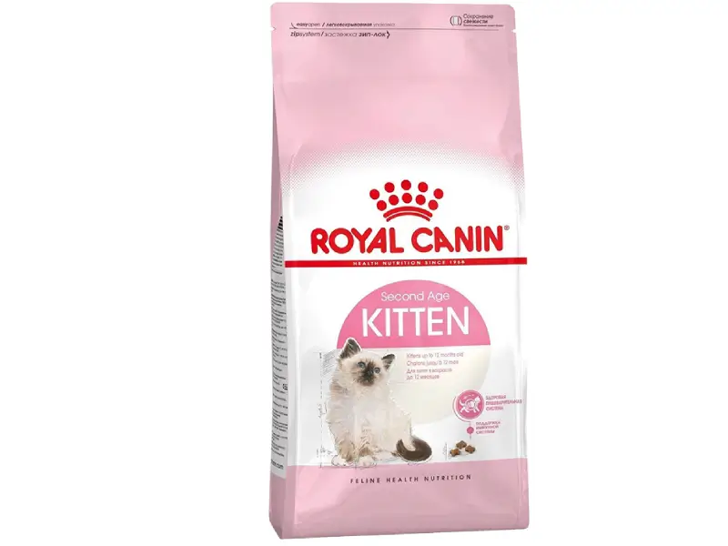 غذای خشک بچه گربه رویال کنین کیتن مدل Kitten خرید غذای خشک بچه گربه رویال کنین کیتن مدل Kitten وزن 2 کیلوگرم - Image 1