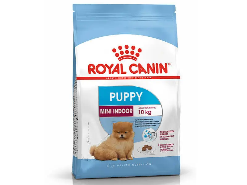 غذای خشک سگ رویال کنین مدل MINI INDOOR PUPPY با وزن 1.5 کیلوگرم غذای خشک توله سگ رویال کنین مدل MINI INDOOR PUPPY با وزن 1.5 کیلوگرم - Image 1